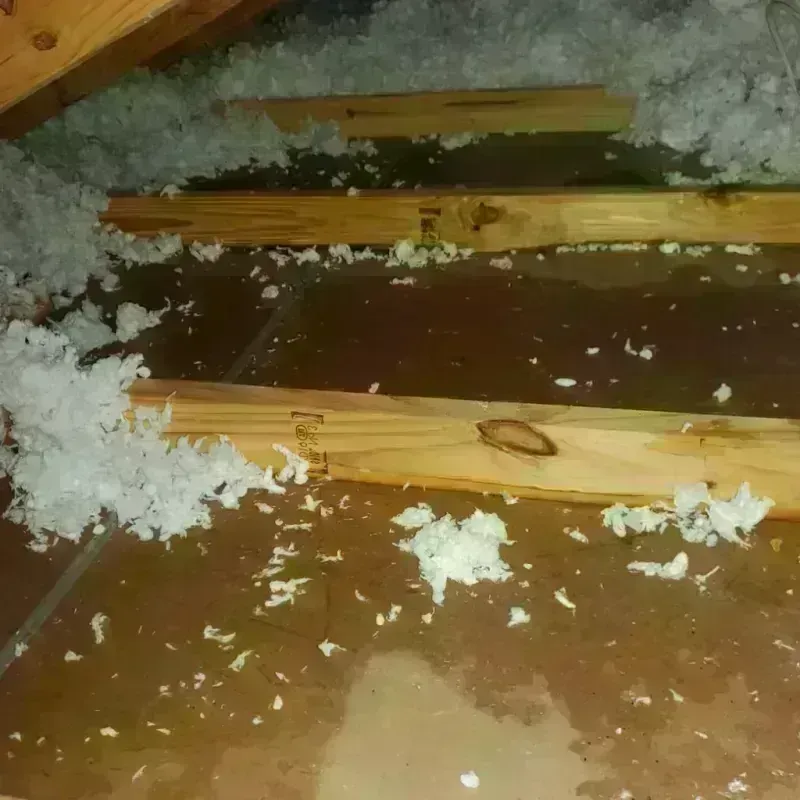 Attic Water Damage in Belmont, CA