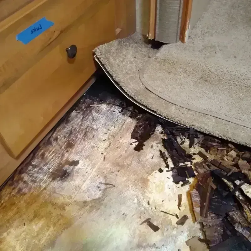 Wood Floor Water Damage in Belmont, CA